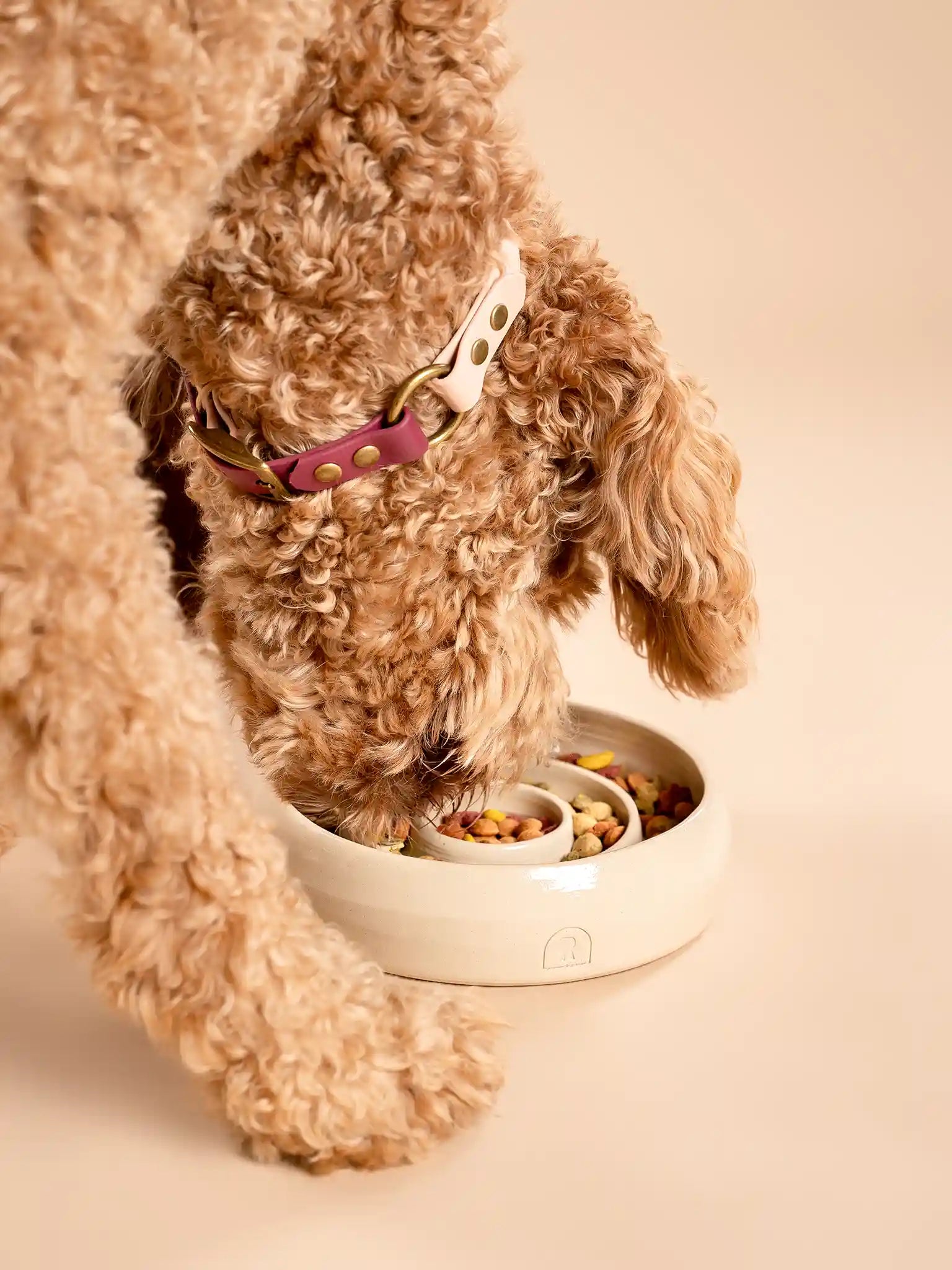 Labradoodle eet uit een handgemaakte keramieken enrichment bowl in beige glazuur — RAWR pets by Iris Floor Ceramics`