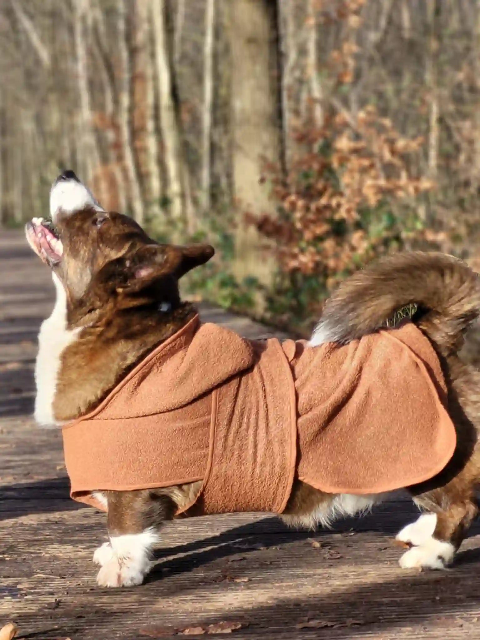 Honden badjas