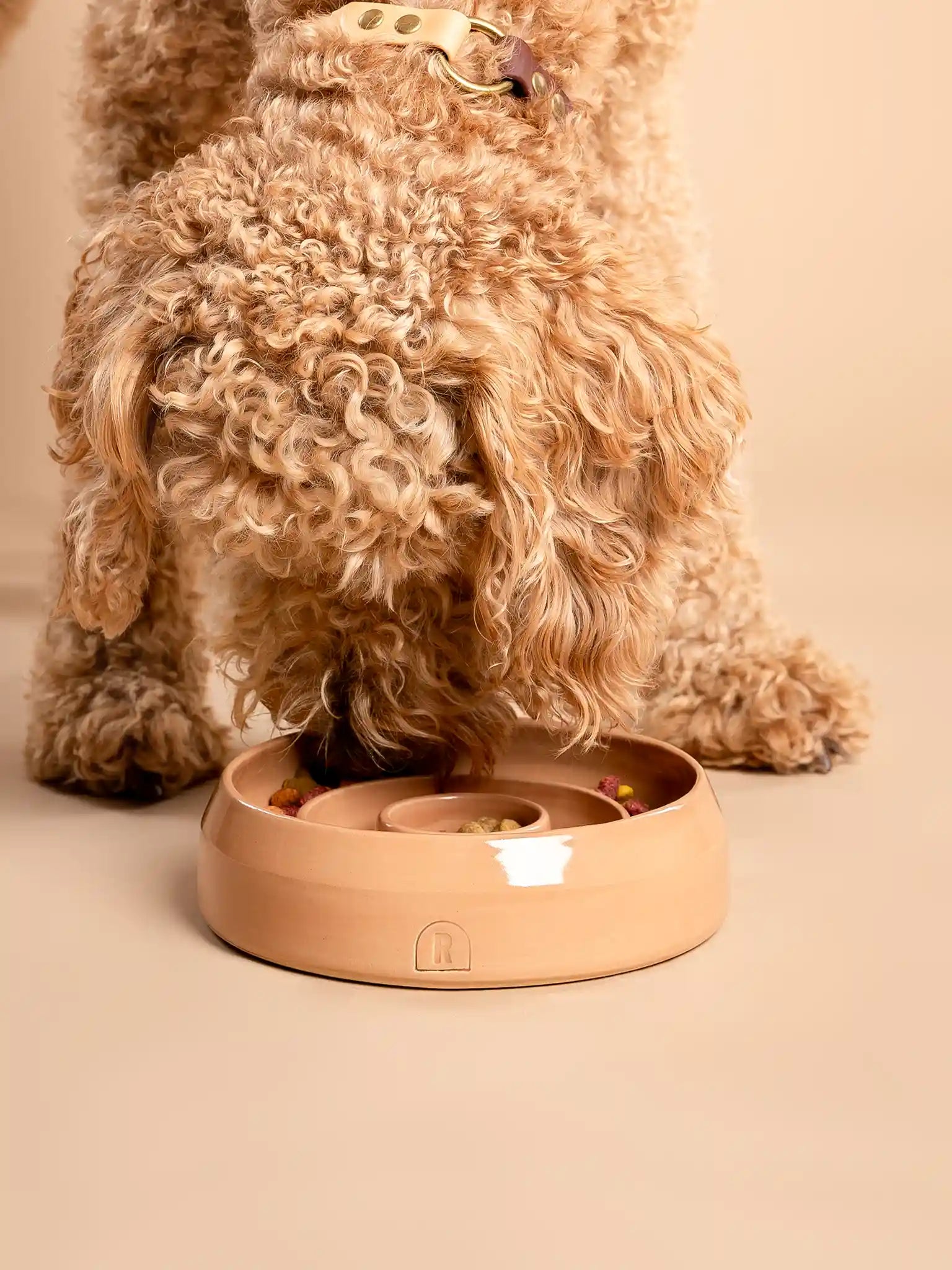 Enrichment Bowl (slow feeder) Blush