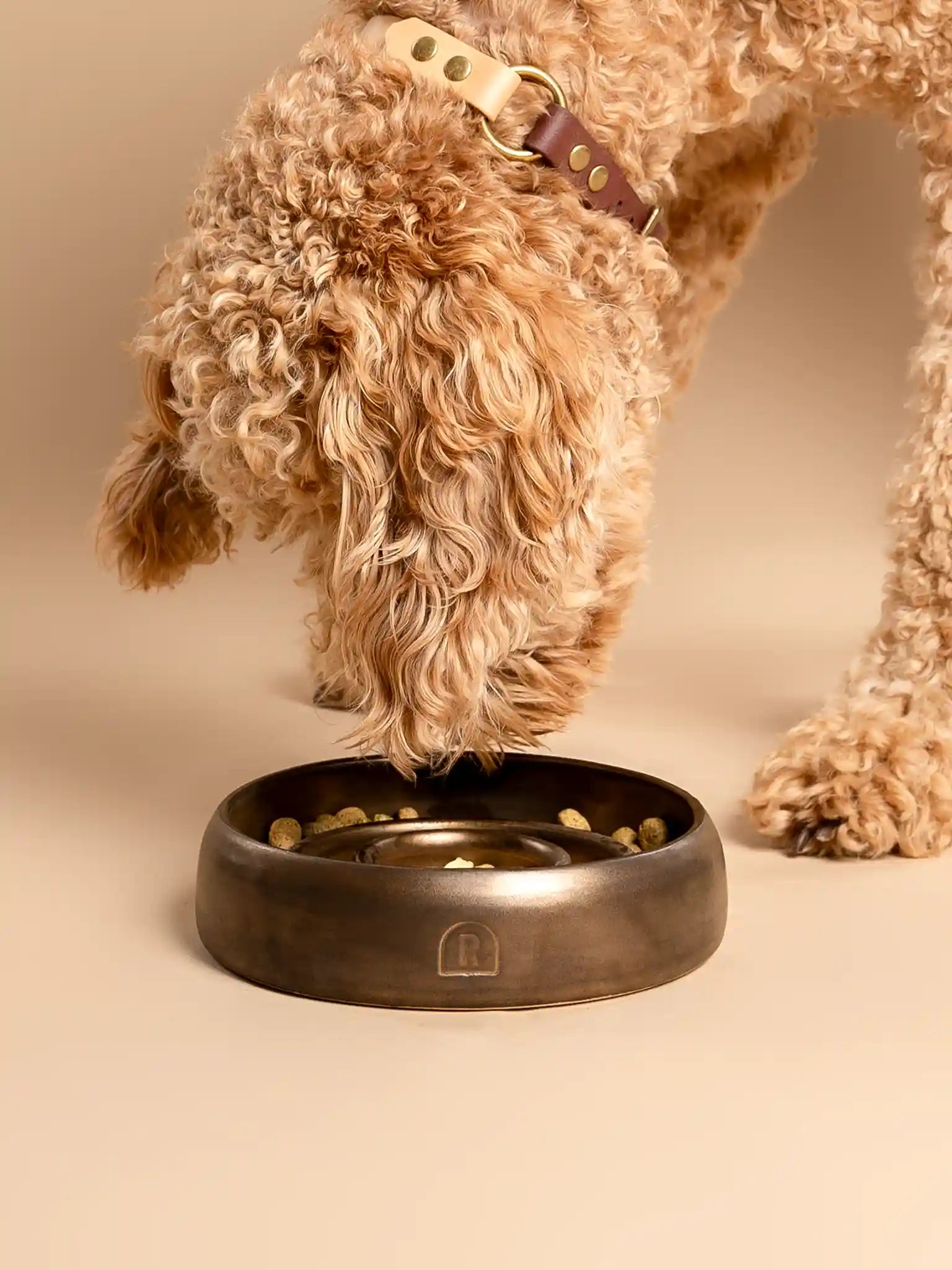 Enrichment Bowl (slow feeder) Gold