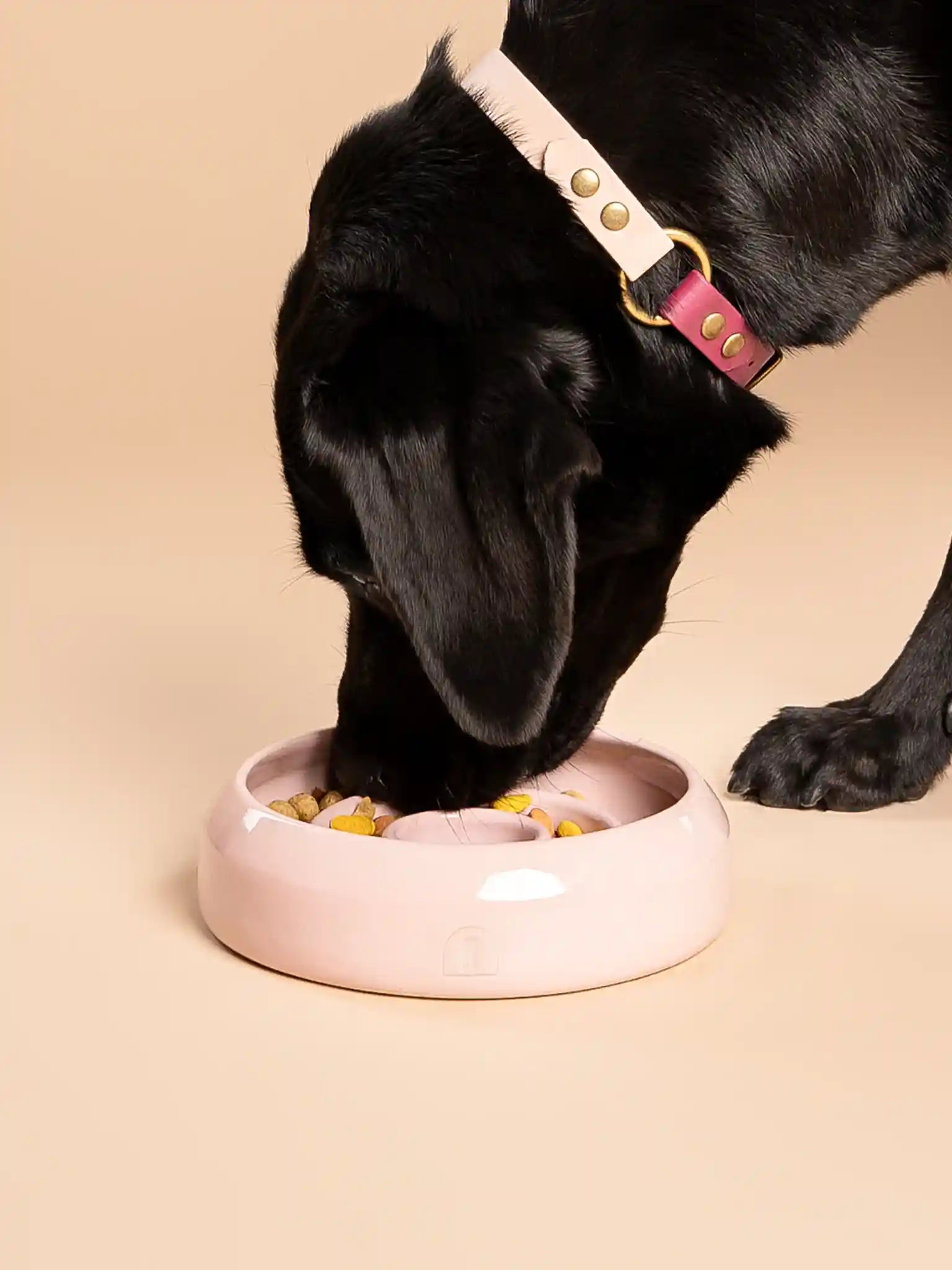 Enrichment Bowl (slow feeder) Lila
