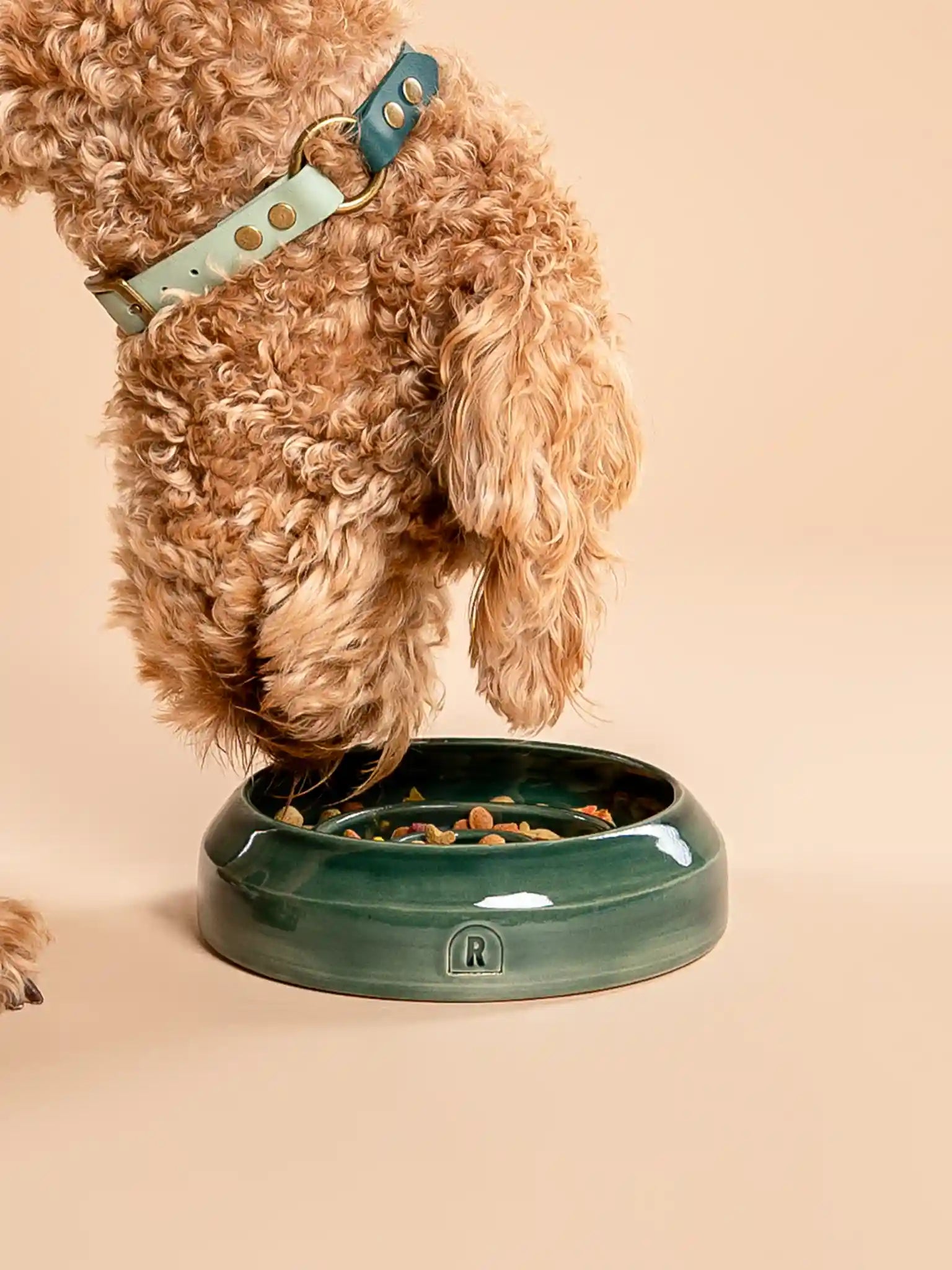 Enrichment Bowl (slow feeder) Rainforest