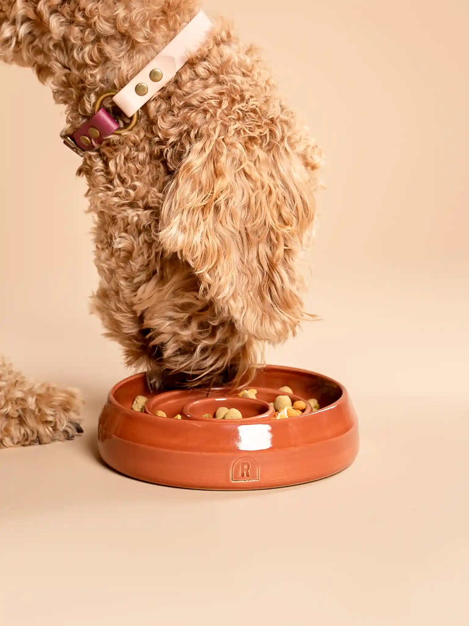 Enrichment Bowl (slow feeder) Red Rock