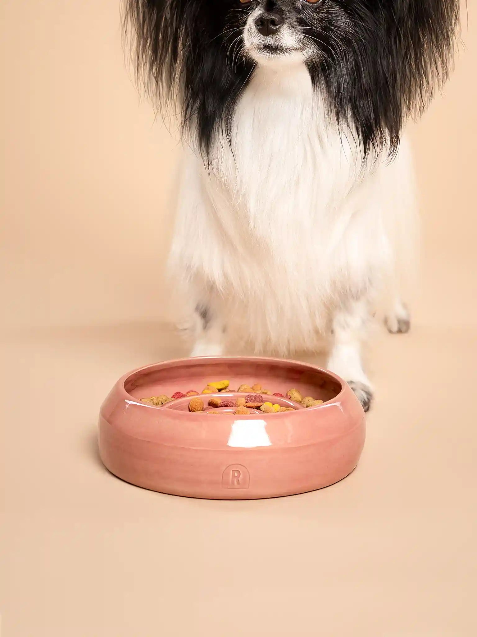 Enrichment Bowl (slow feeder) Weeping Plum