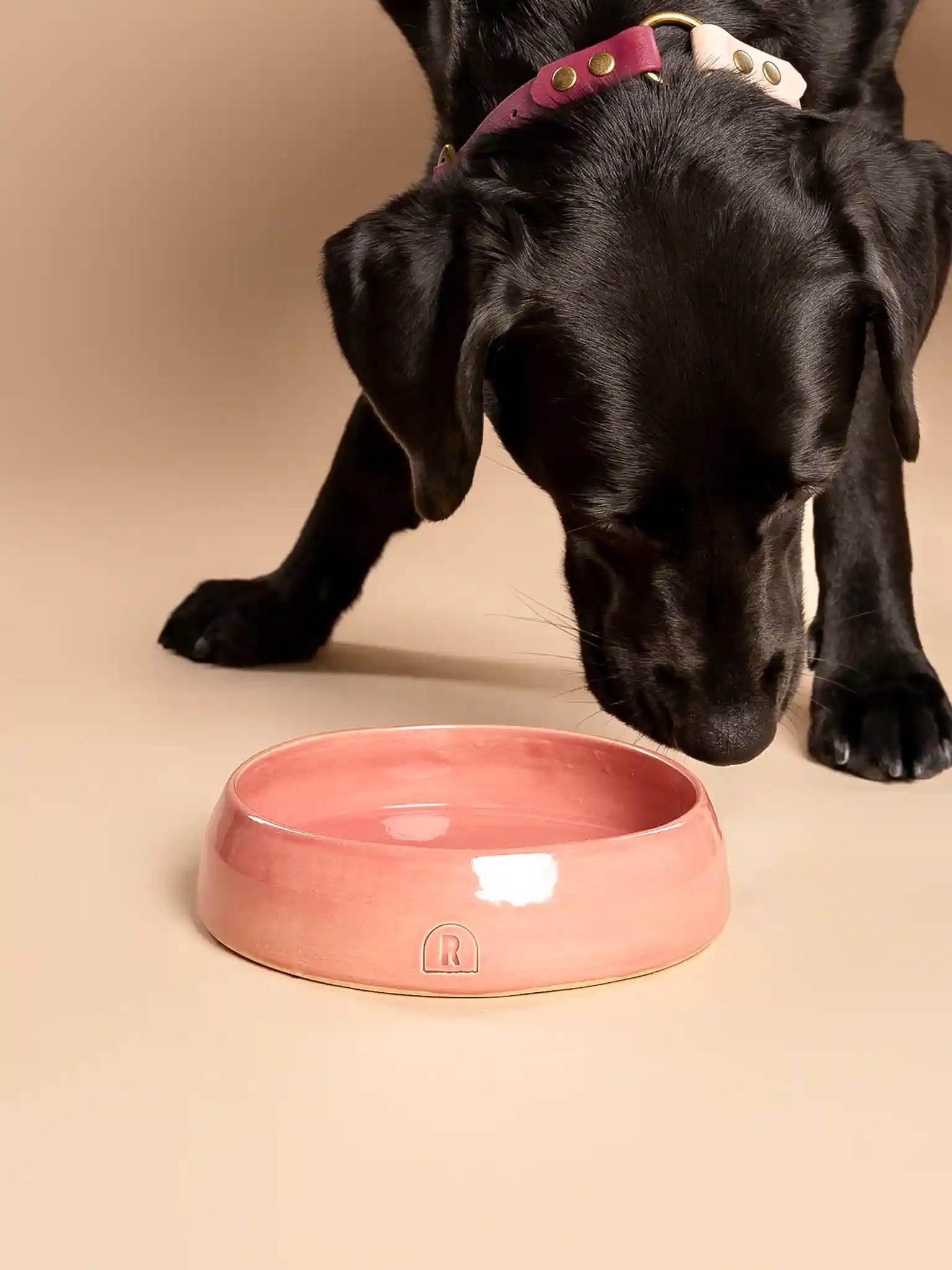 Flat Bowl Weeping Plum