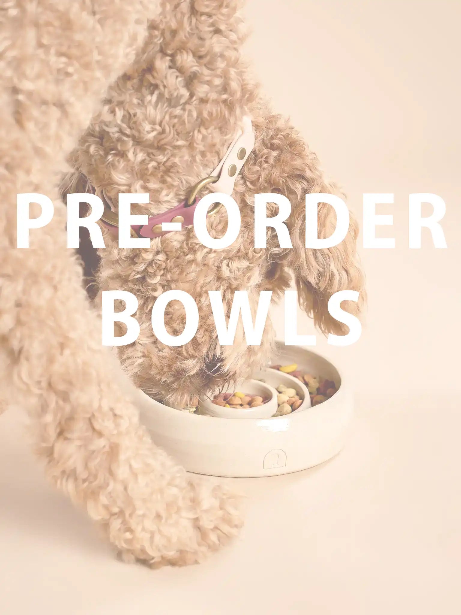 Pre-order Slow Feeder (Enrichment Bowl)