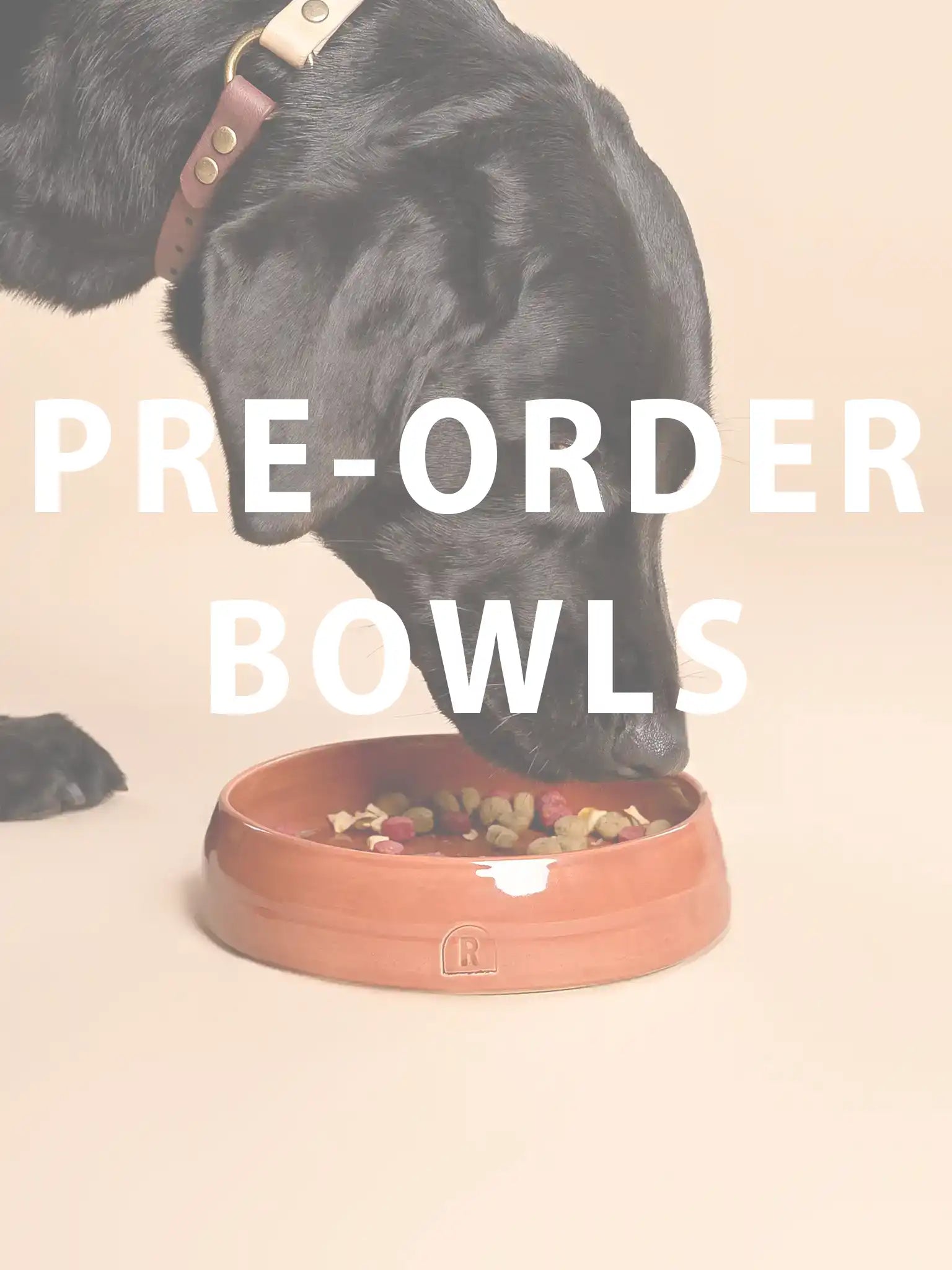 Pre-order Voerbak / waterbak (Flat Bowl)